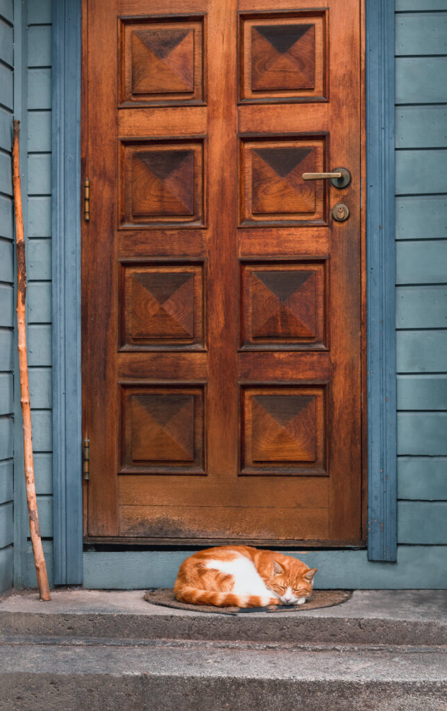 neighbours friend / Nachbarschaft - Alexander Braun