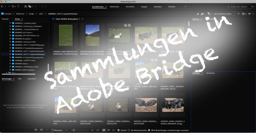 Adobe Bridge - Sammlungen bzw. Smartsammlungen anlegen