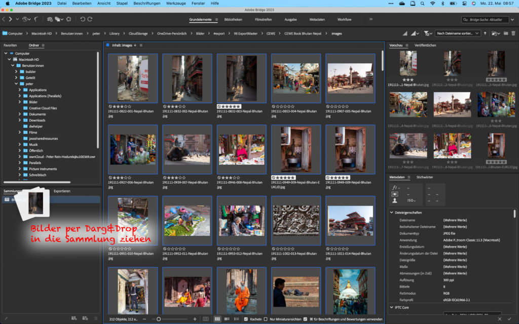 Adobe Bridge - Bilder per Drag & Drop in eine Sammlung legen